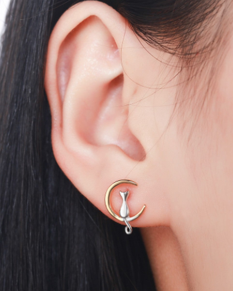 Cat Ear Studs and Moon Earrings - Trendy Accessories